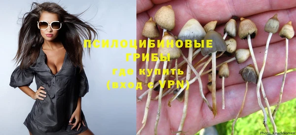 мяу мяу кристалл Магас