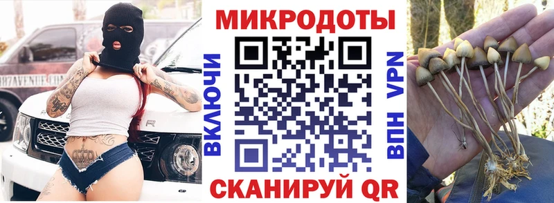 Псилоцибиновые грибы мицелий  Нестеровская 